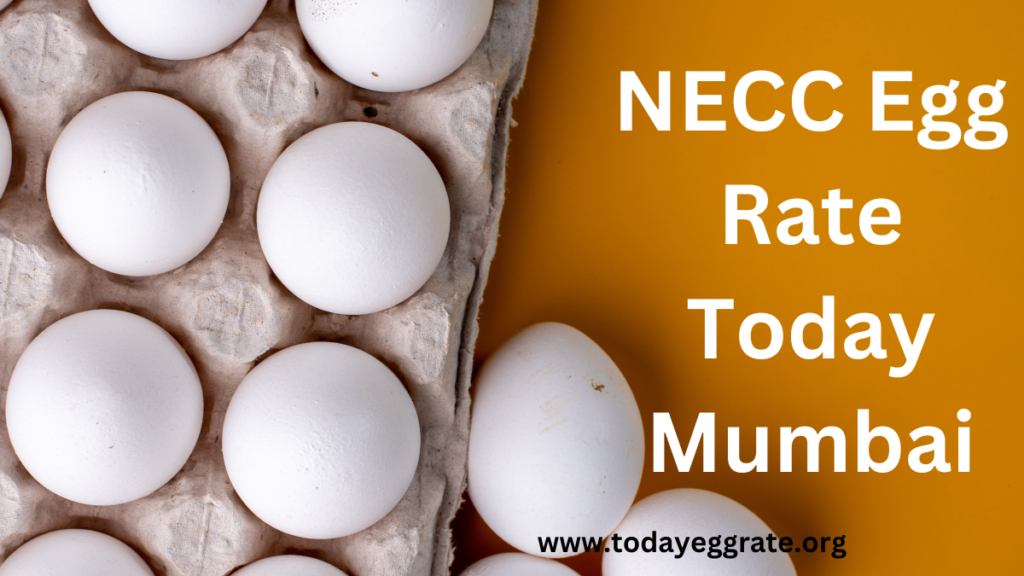 NECC Egg Rate Today Mumbai-todayeggrate.org-