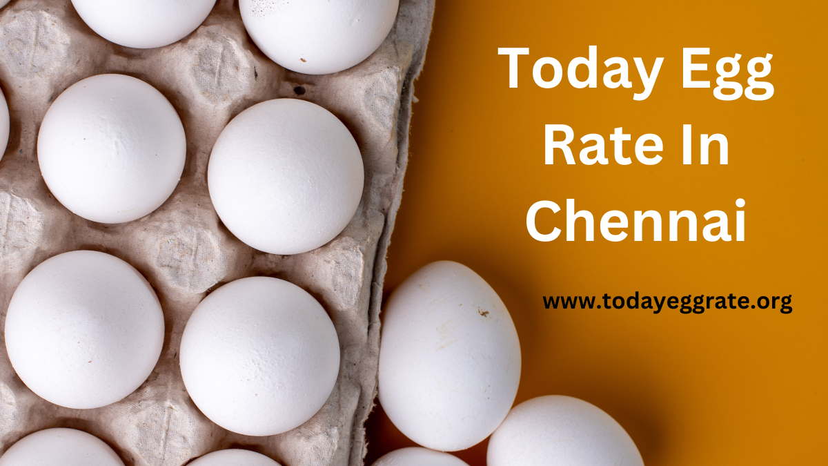 Today Egg Rate In Chennai