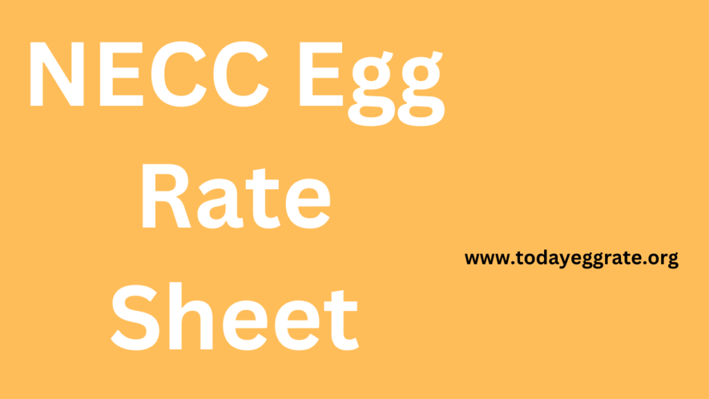 NECC Egg Rate Sheet-todayeggrate.org-.
