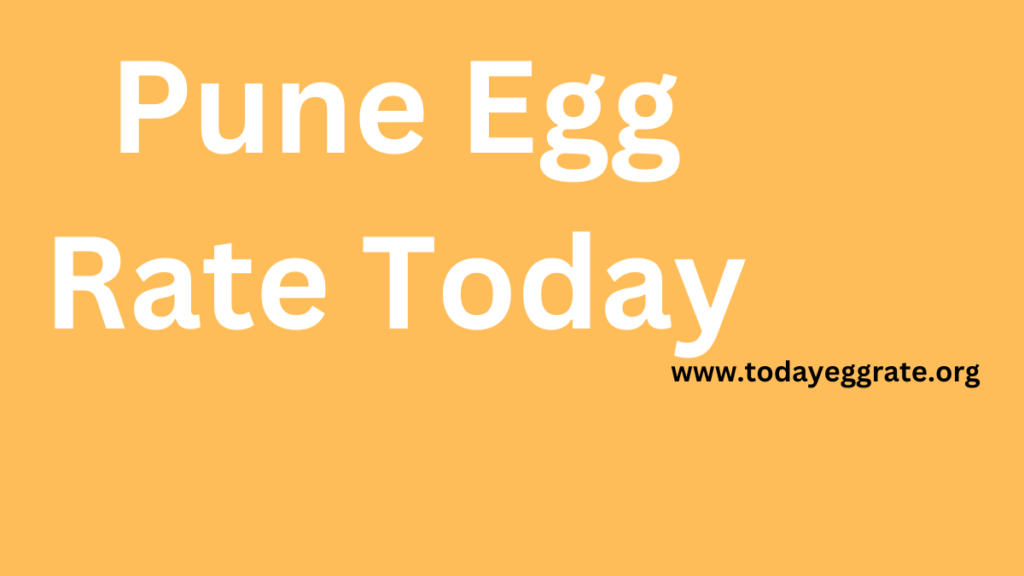 Pune egg rate-todayeggrate.org-