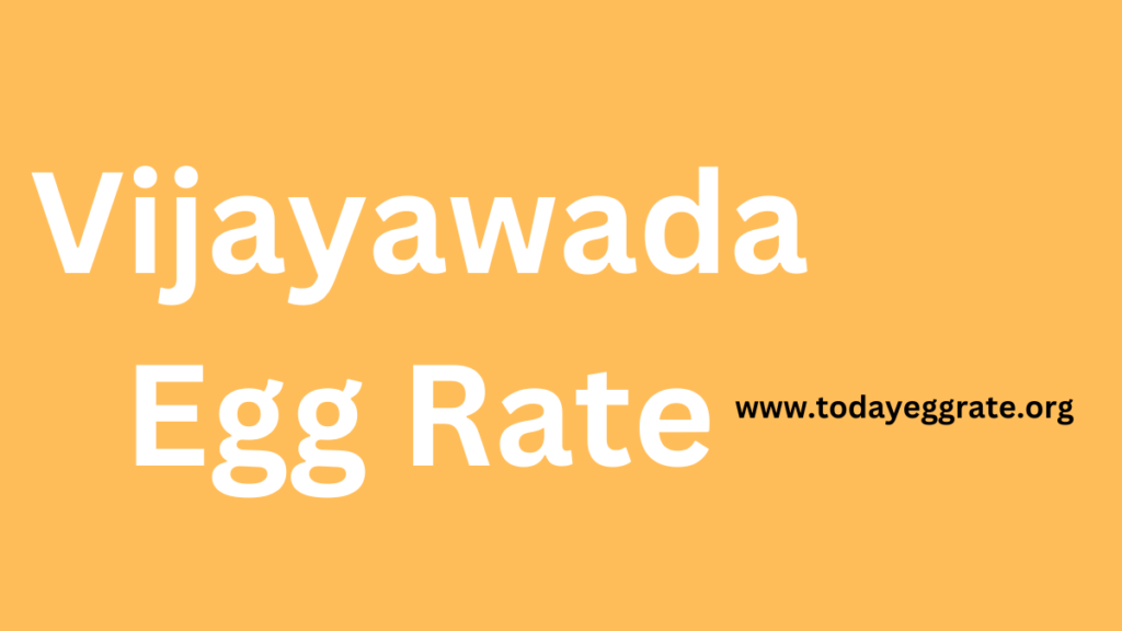 Vijayawada egg rate-todayeggrate.org-